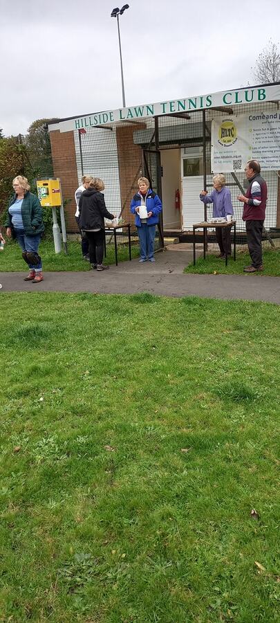 Crocus planting 2024